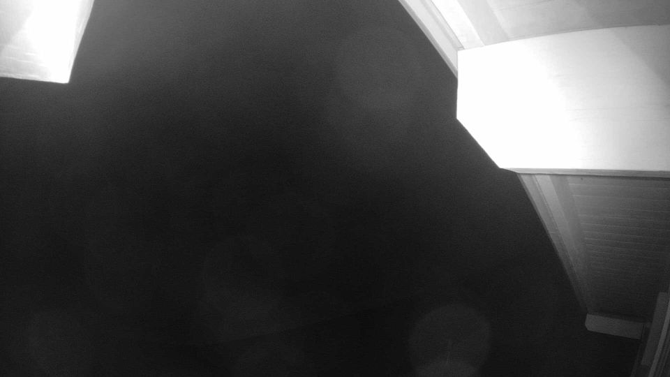 Webcam live 
