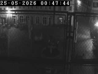 Webcam live 