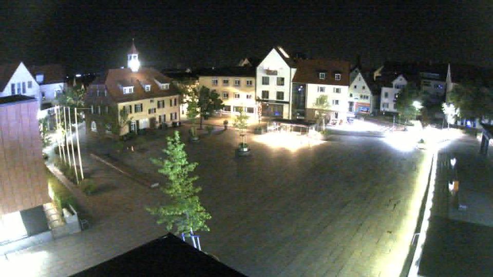 Webcam live 