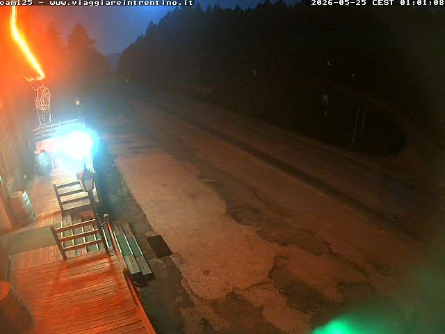 Webcam live 