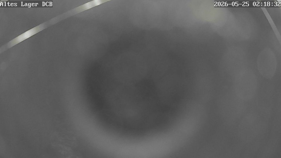 Webcam live 