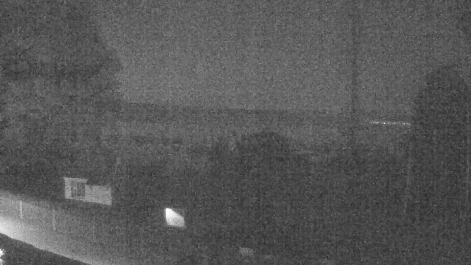Webcam live 