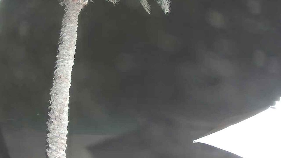 Webcam live 