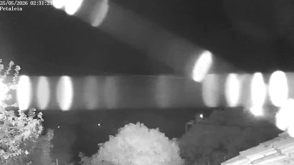 Webcam live 