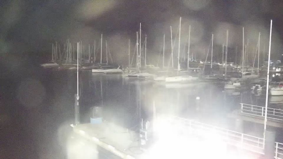 Webcam live 