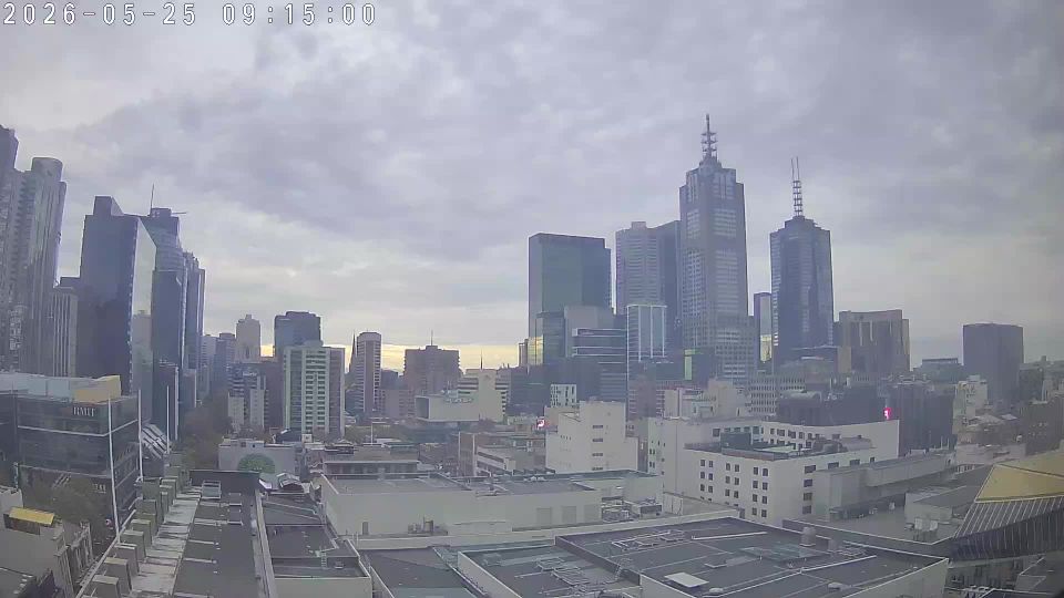 Webcam live 