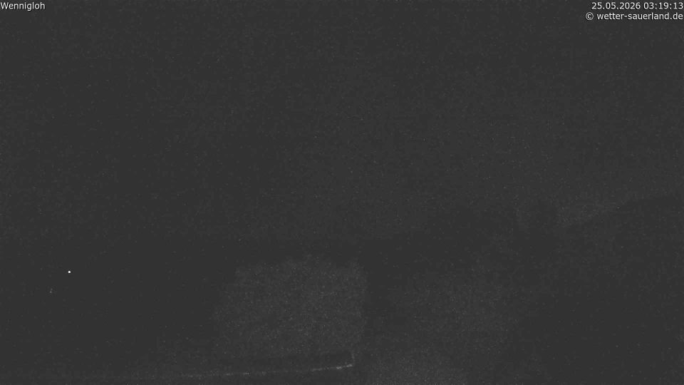 Webcam live 