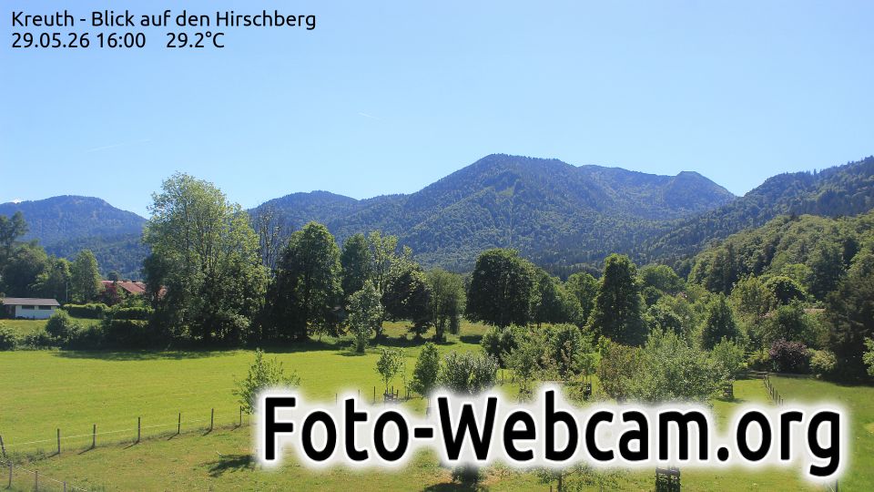Webcam live 