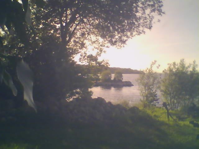 Webcam live 