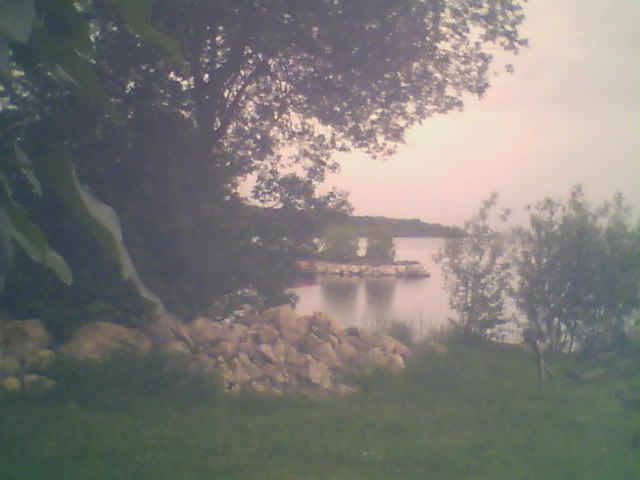 Webcam live 