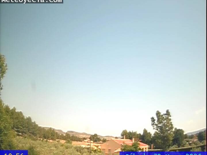 Webcam live 