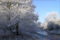Viel Raureif und Frühlingsgefühle - Winter 2007/2008