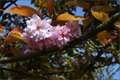 Der April in Bildern