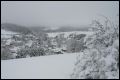 Bildschön: Der Frühling 2008