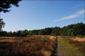 Der September in Bildern