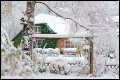 Der November 2008 in Bildern