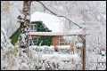 Kalter Winter 2008/2009