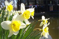 So war der Frühling 2009