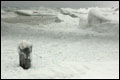 Eisbrocken am Ostseestrand