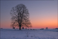Märzwinter weicht Frühling