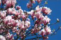 April in sonniger Laune