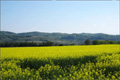 April in sonniger Laune