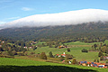 Nebelwand im Bayerwald
