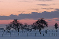 Weiße Weihnachten 2010