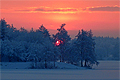 Der Dezember 2010 in Bildern
