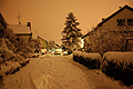 Der Dezember 2010 in Bildern