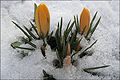 Das Jahr 2010 in Bildern