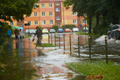 Der Sommer 2011 im Rückblick