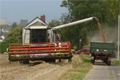 Steiniger Weg zum Hochsommer