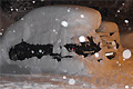 Ein facettenreicher Winter