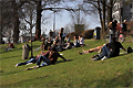 Frühlingsstimmung pur