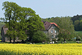 Abwechslungsreicher Frühling