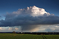 Abwechslungsreicher Frühling