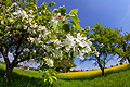 Frühsommertag im Osten