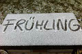 Der Frühling in Bildern