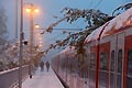 Schneechaos in Oberbayern