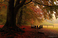 Der Herbst 2013 in Bildern