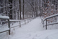 Schnee und Frost im Osten