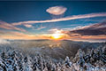 Der Januar in Bildern