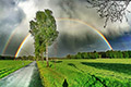 Farbintensive Regenbögen
