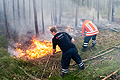 Trockenheit macht große Probleme